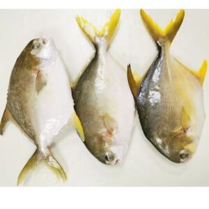 Frozen Pompano Fish Whole Round 200