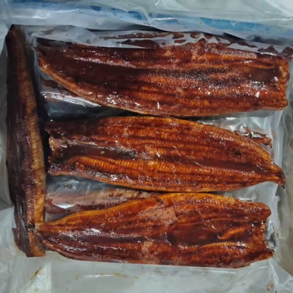 Frozen Roasted Eel Unagi Premium Quality