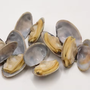 Frozen Short Neck Clam