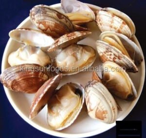 Frozen Short Neck Clam Meat for