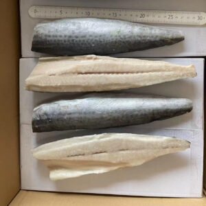 Frozen Spanish Mackerel Fillet Origin China