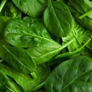 FROZEN SPINACH PUREE IMMUNE SUPPORTING CLEAN