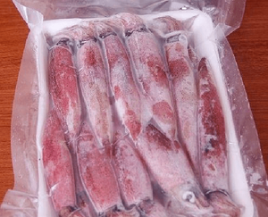 FROZEN SQUID TUBE AND TENTACLE IQF - wholesale supplier | AgroFoods Global
