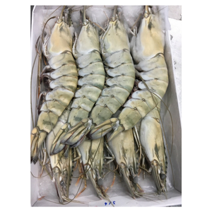 Frozen Vannamei Shrimp Wholesale and Seafood