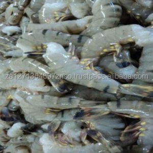 Frozen White Shrimp IQF Freezing Process