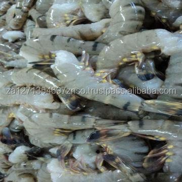 Frozen White Shrimp IQF Freezing Process Frozen White Shrimp IQF Freezing Process