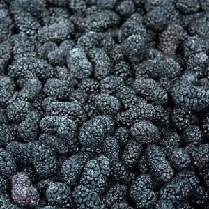 Frozen Whole Mulberries 10kg Bulk Bag