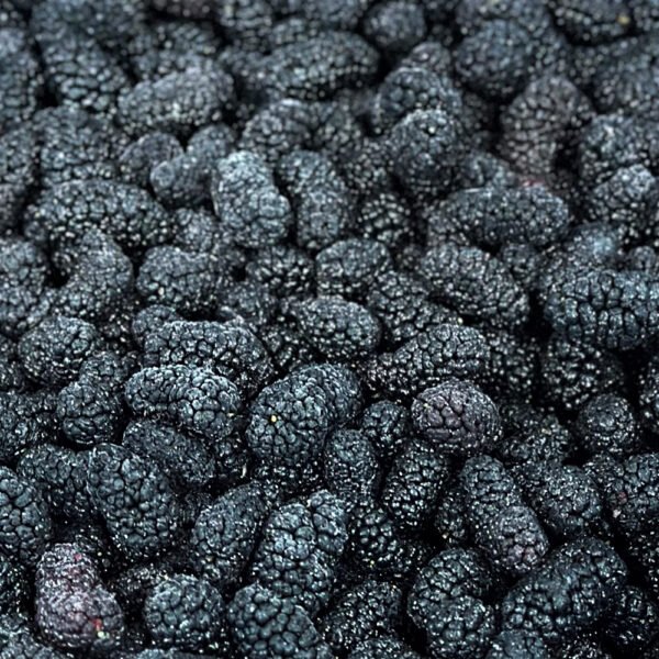 Frozen Whole Mulberries 10kg Bulk Bag