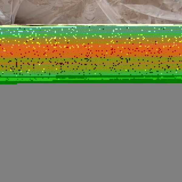 Frozen Yellow Tail Fish 500 700g