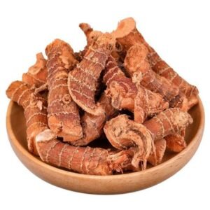 Galangal Root — premium quality