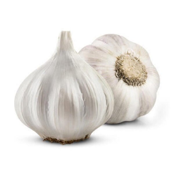 Garlic China 10 Pack Garlic China 10 Pack — premium quality