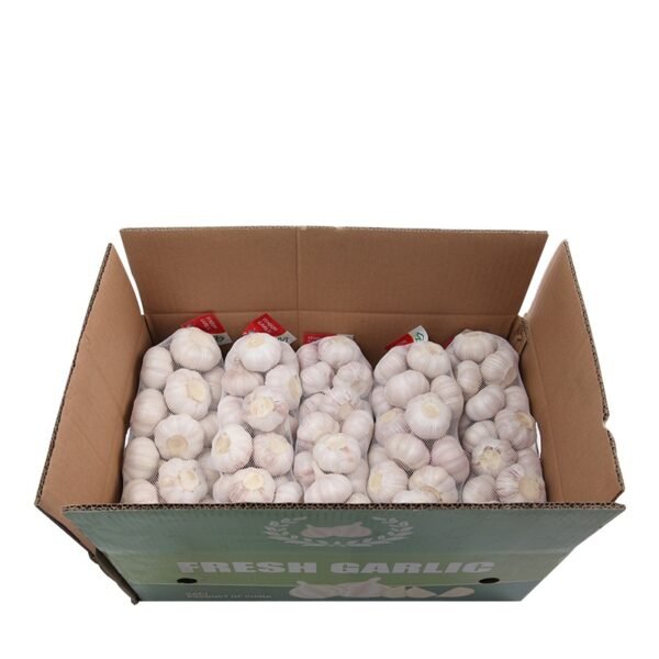 Garlic Exporters China Supply New Crop
