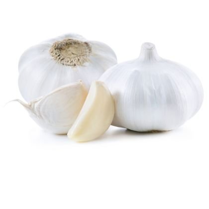 Garlic — premium quality
