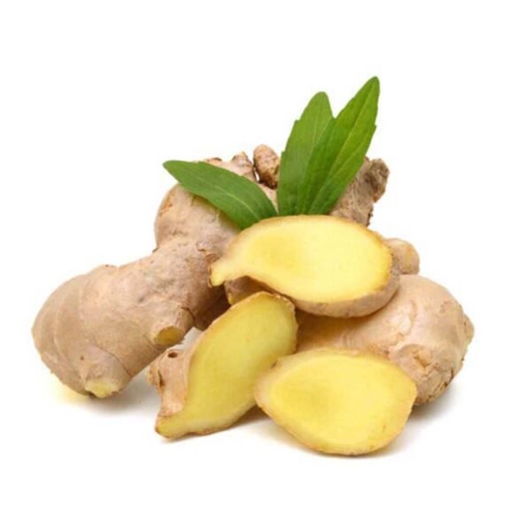 Ginger China Ginger China — premium quality