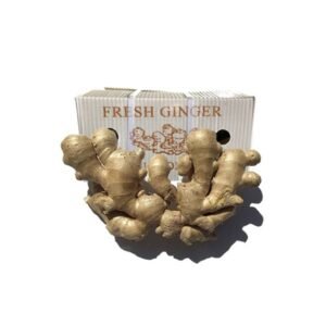 Ginger China Box — premium quality