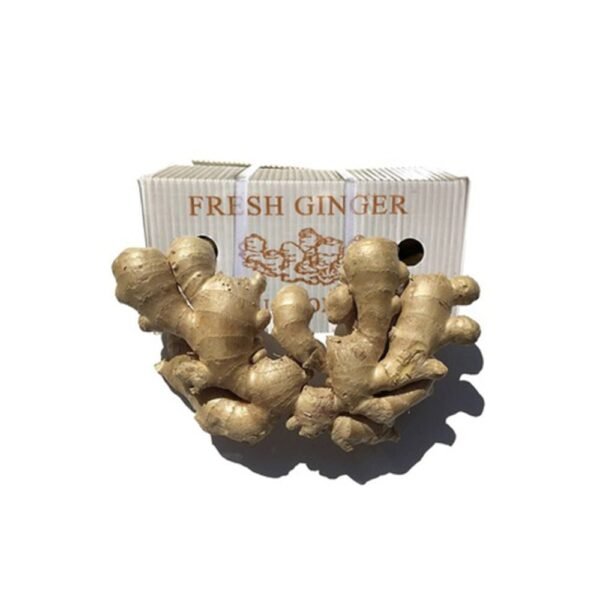 Ginger China Box Ginger China Box — premium quality