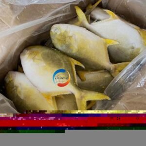 Golden Pompano Frozen Whole Fish Bulk