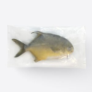 Golden Pompano Hotsale Frozen Fish IQF