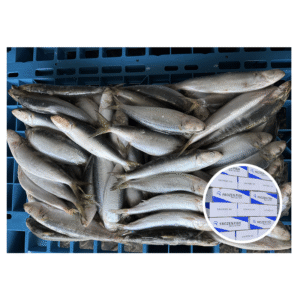 Good Freshness Block Quick Frozen 90