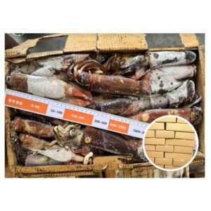 Good Price Calamari Squid Raw Squid
