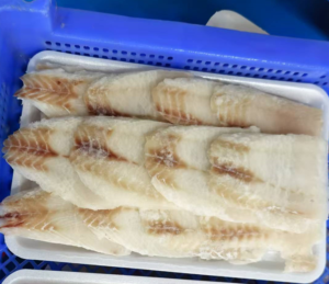 Good Price Frozen Alaska Pollock Fillet