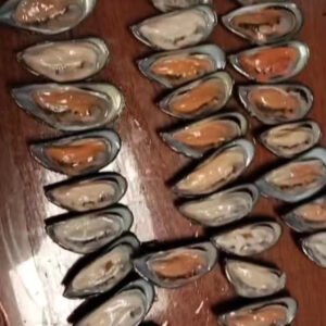 Good Price Frozen Half Shell Green