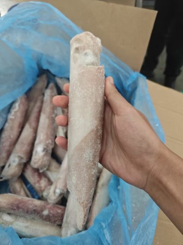 Good Price Indonesia Origin Hotsale Frozen