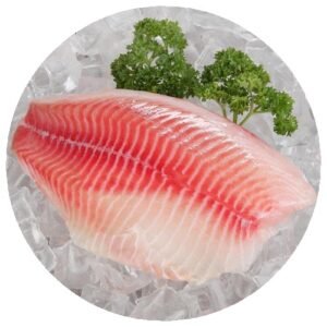 Good Price NILOTICUS Tilapia Fillet Frozen