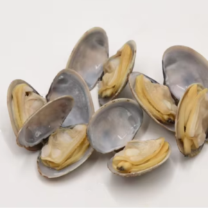 Good Price Shellfish New Season Frozen