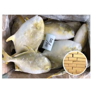 Good Quality Frozen Golden Pompano Pomfret