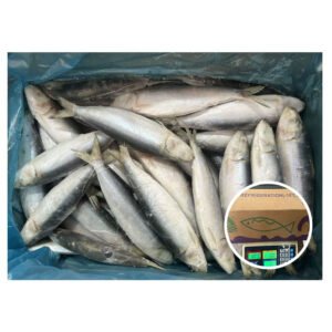 Good Quality IQF Sardine Fish Sardinella