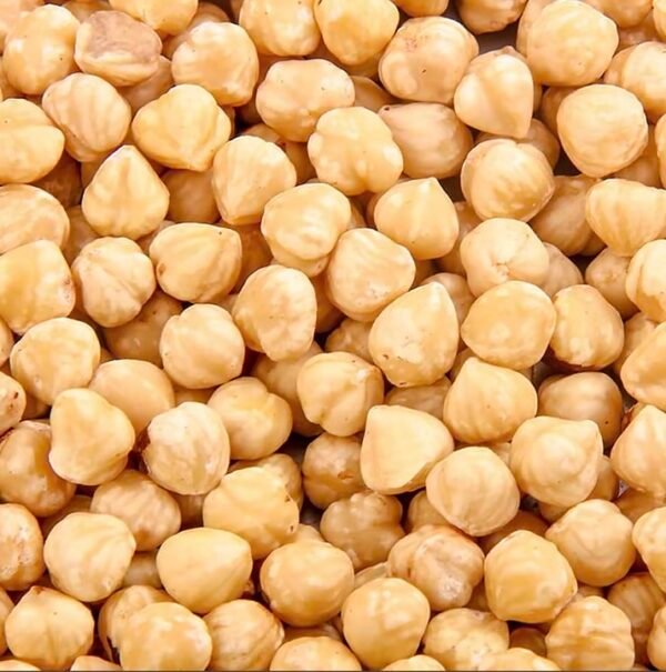 Good Quality Roasted Macadamia Nut Inshell