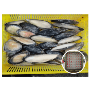 Good Quality Size 8 10CM Frozen