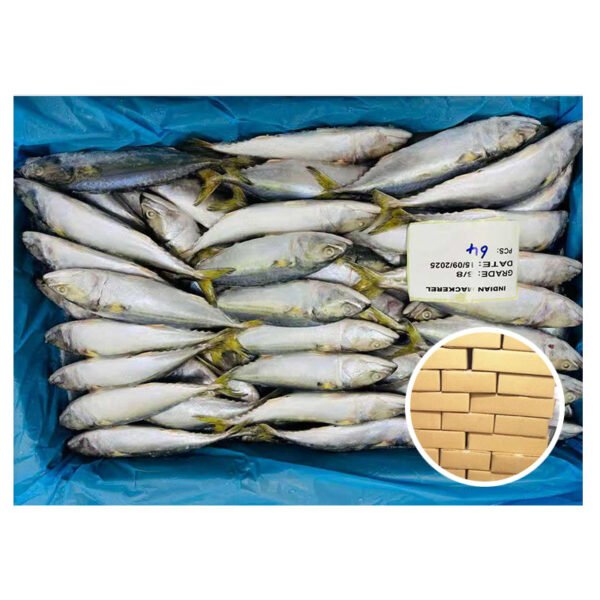 Grade Whole Round IQF Exporter Rastrelliger Grade Whole Round IQF Exporter Rastrelliger