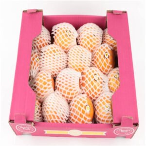 Granadilla Colombia 16 Pieces Box — premium quality