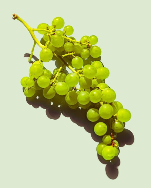Grapes Green Grapes Green — premium quality