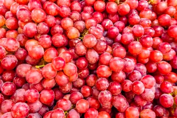 Grapes Red Grapes Red — premium quality