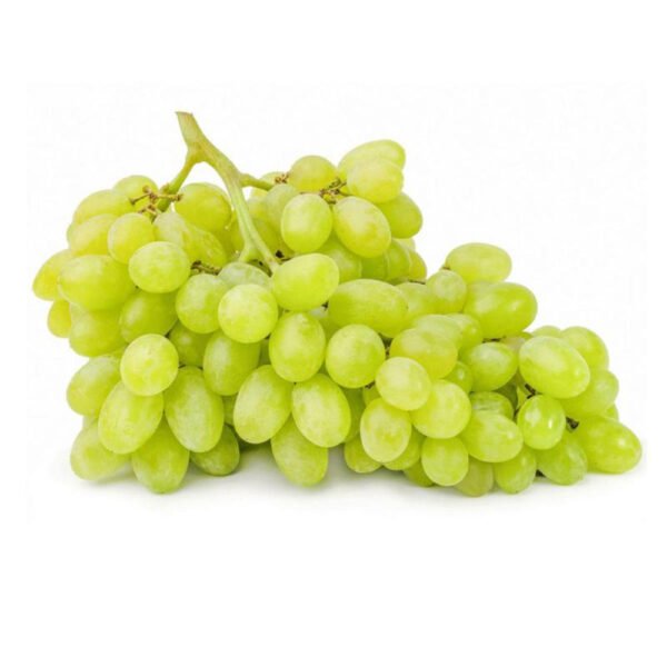 Grapes White India 500g Grapes White India 500g — premium quality
