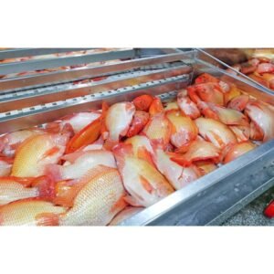Great Value Frozen Tilapia Skinless and