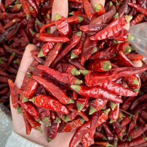 Guizhou Chili Sichuan Dried Chili Multiple