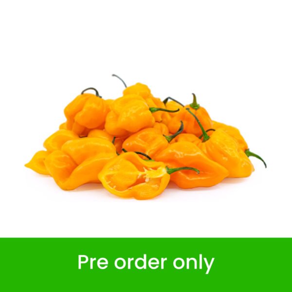 Habanero Chilli Yellow Habanero Chilli Yellow — premium quality