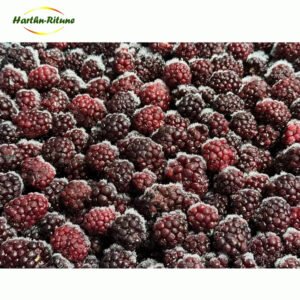 HACCP Certified Frozen Blackberries IQF Grade