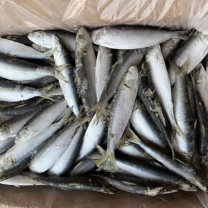 Healsea Frozen Pacific Sardine Fish W