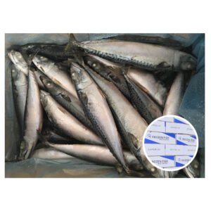 HEALSEA Grade a BQF Frozen North