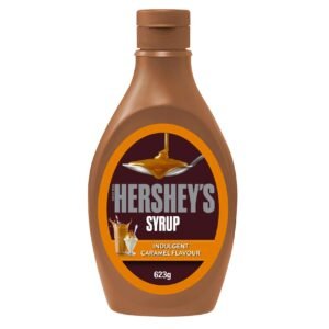 Hershey's Indulgent Caramel Flavour Syrup, 623g wholesale UAE — bulk export supplier