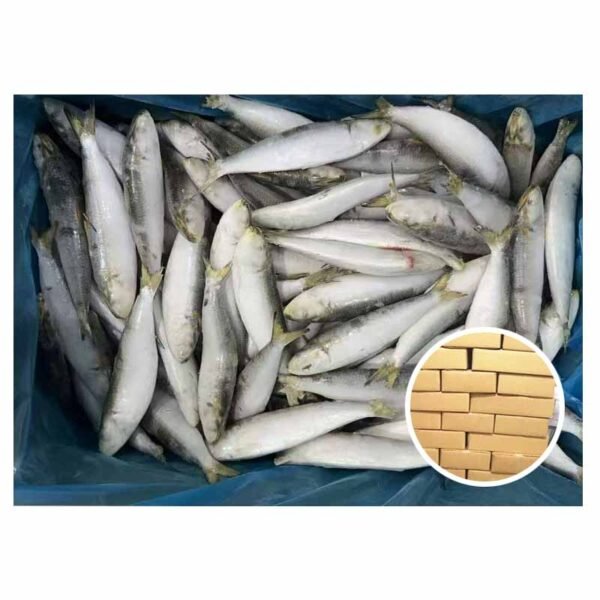 High Grade IQF Sardinella Aurita 12 High Grade IQF Sardinella Aurita 12
