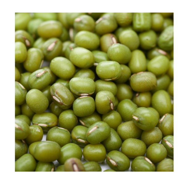 High Grade Non gmo Bulk Sprouting