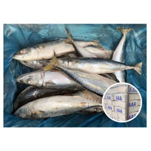 High Quality 400 600g Seafrozen Pacific