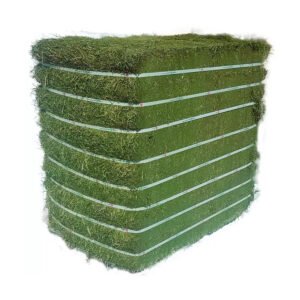 High quality alfalfa hay prepared for