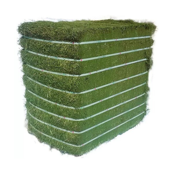 High quality alfalfa hay prepared for
